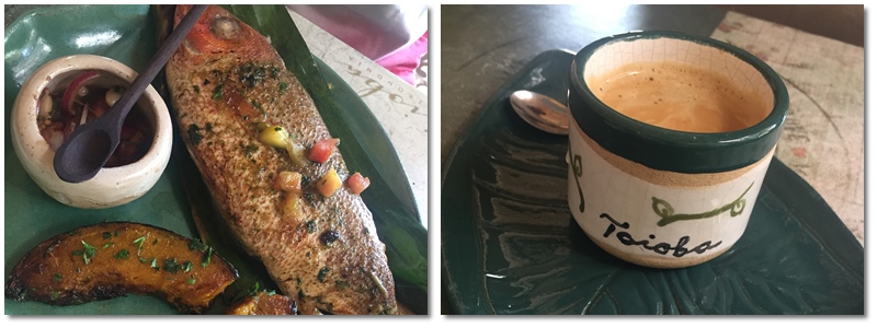 Restaurante Litoral Norte - Sertao do Camburi - Taioba - pratos e café